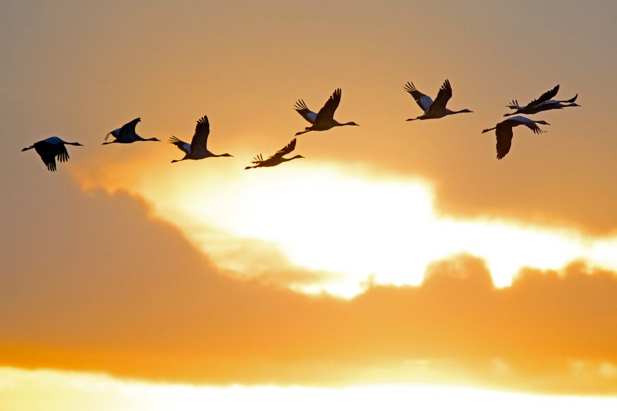 data migration
