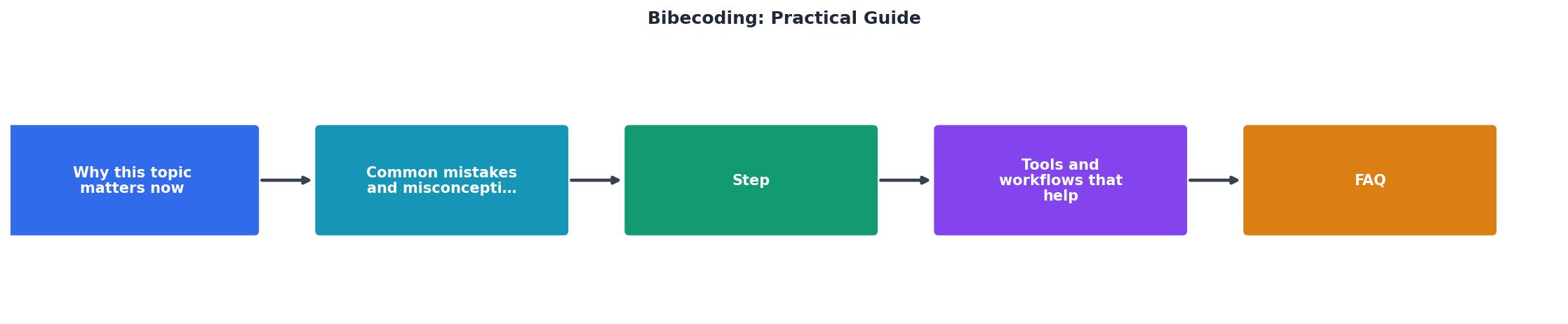 Bibecoding: Practical Guide process