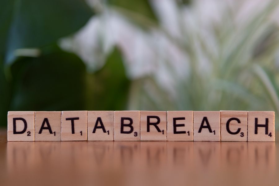 vulnerability detection